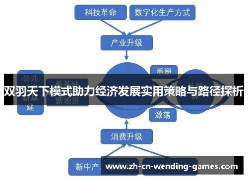 双羽天下模式助力经济发展实用策略与路径探析