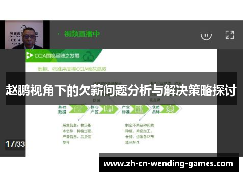 赵鹏视角下的欠薪问题分析与解决策略探讨