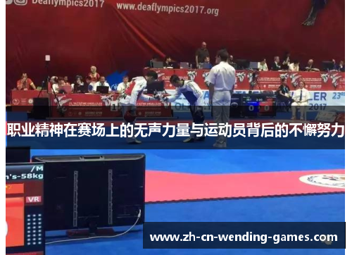 职业精神在赛场上的无声力量与运动员背后的不懈努力