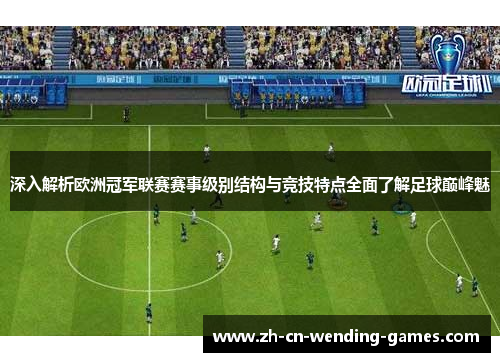 深入解析欧洲冠军联赛赛事级别结构与竞技特点全面了解足球巅峰魅